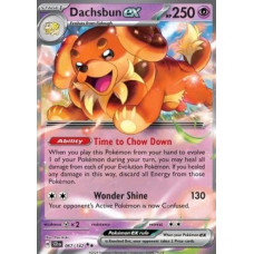 Dachsbun ex 067/142